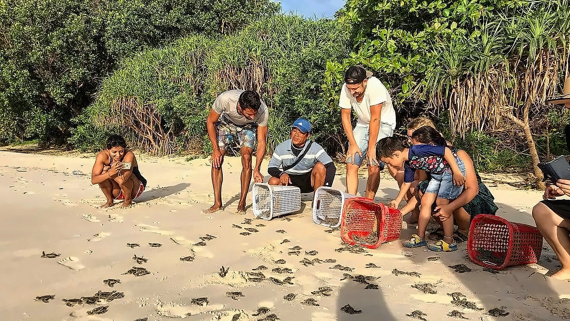 Half-day tour | Turtle release and Snorkeling In Con Dao Island